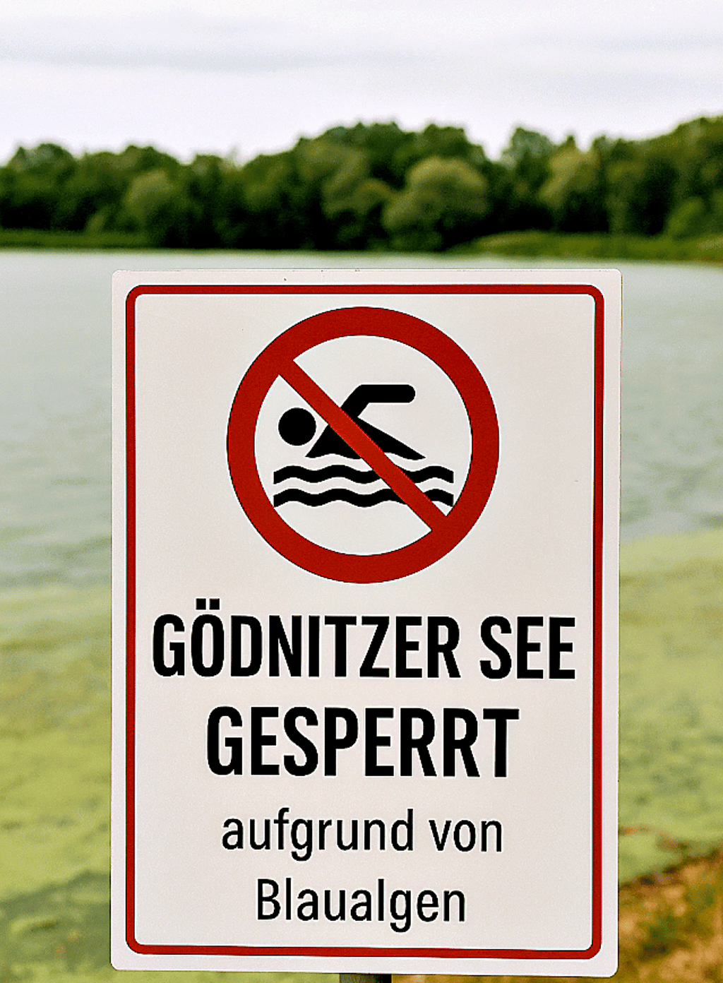 Im Gödnitzer See wurden Blaualgen festgestellt.