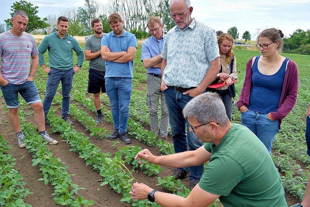 Biobauer Ansgar Laame (vorn) erläutert seine Erfahrung beim Impfen von Soja vor der Aussaat.