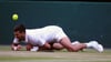Beim Matchball stürzte Novak Djokovic böse.
