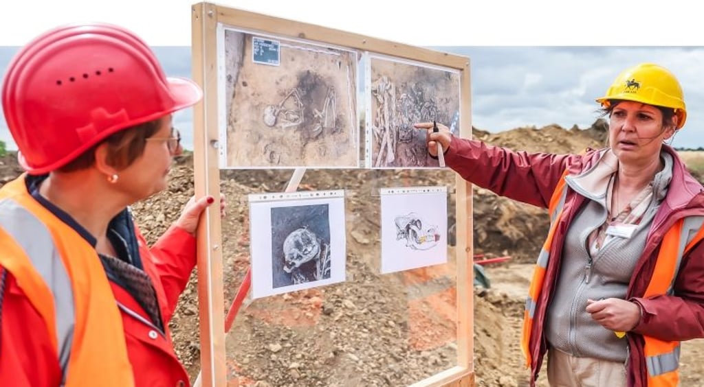 Grabungen im Burgenlandkreis in Sachsen-Anhalt: Die Archäologinnen Susanne Friederich (links) und Xandra Dalidowski zeigten anhand dieser Tafel, wo sie die Tragetasche mit Hundezähnen entdeckt haben und aus welchen Teilen des Hundegebisses sie stammen.