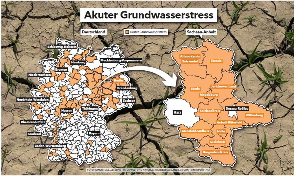 Diese Grafik zeigt den akuten Grundwasserstress wie ihn die BUND-Studie für die verschiedenen Regionen Deutschlands beschreibt. In orange gefärbten Gebieten sind die Probleme groß. Sachsen-Anhalt ist demnach besonders betroffen.