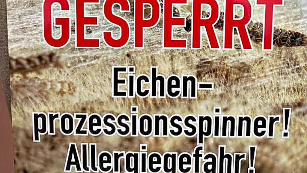 In Lieskau hatten die Eichenprozessionsspinner ein Nest.
