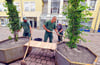 Die neuen Pflanzkübel in Köthen.