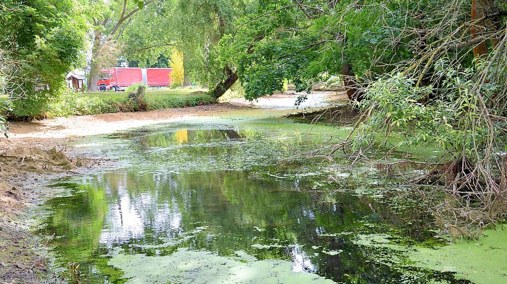 Der Graben zum Warmsdorfer Teich ist schon fast verlandet.