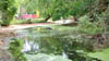 Der Graben zum Warmsdorfer Teich ist schon fast verlandet.