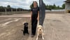 In Magdeburg entsteht unter der Leitung von Hundetrainerin Nina Wenke eine neue Hundewiese mit Zugang per Anmeldung.