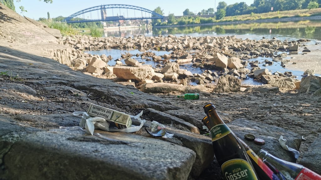 Flaschen, Zigaretten, Glasscherben und Plastik-Müll: Entlang der Elbe in Magdeburg verschmutz jede Menge Unrat die Natur.