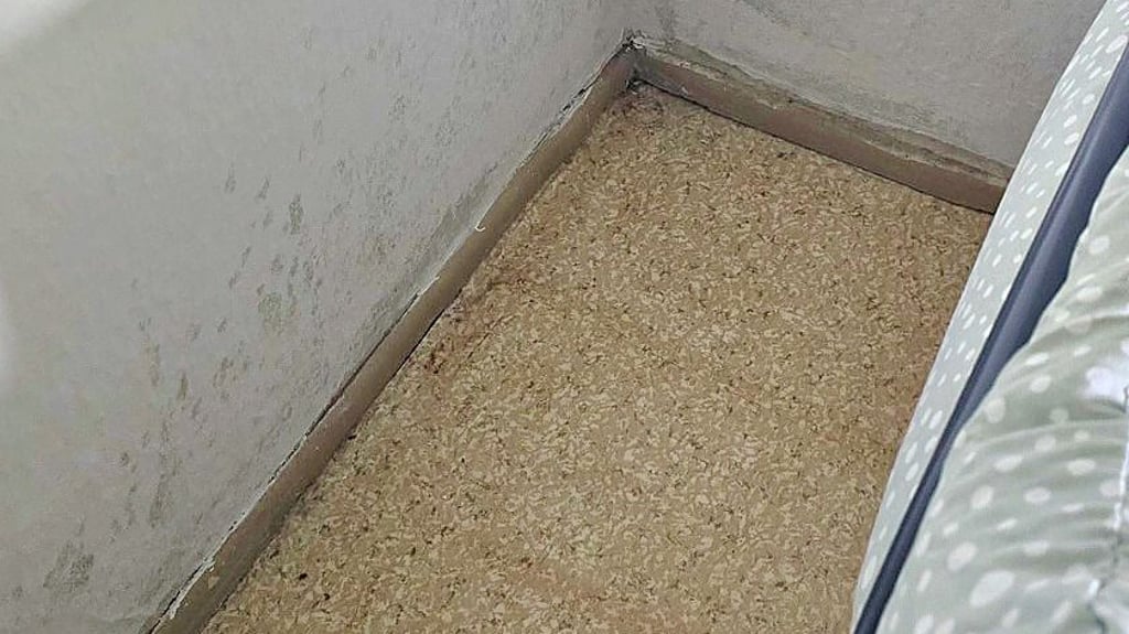 Eine geflüchtete Familie mit Baby muss in Salzwedel umziehen. In der neuen Wohnung soll es schimmeln.