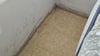 Eine geflüchtete Familie mit Baby muss in Salzwedel umziehen. In der neuen Wohnung soll es schimmeln.