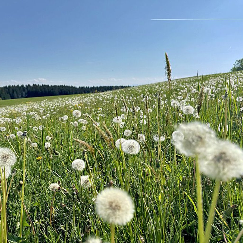 Foto: Axel Ehrlich