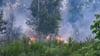 Das Feuer in der Gohrischheide wird als bislang größter Waldbrand in Sachsen eingestuft (Archivbild).