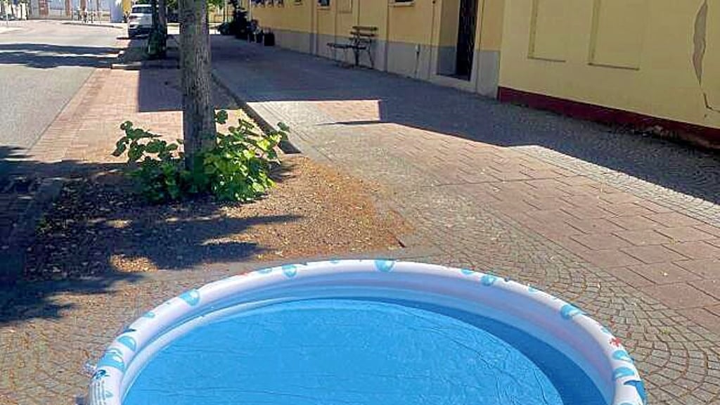 Damit Vögel, Hund und Kleintiere trotz Hitze und Trockenheit Wasser finden, hat Wirt Axel Bangnowski dieses Becken zwischen Baumscheiben in der Lindenstraße in Köthen aufgestellt. Dafür gabs Ärger mit dem Amt.