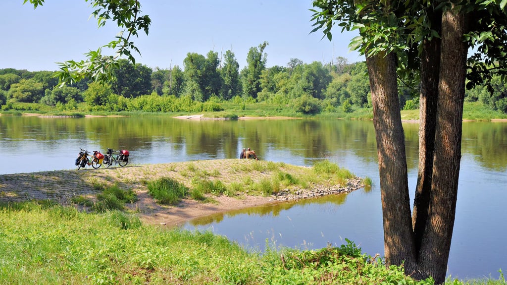 Der Elberadweg ist einer der beliebtesten touristischen Wege Deutschlands. Derzeit ist der Wasserstand des Flusses bei Barby extrem niedrig.