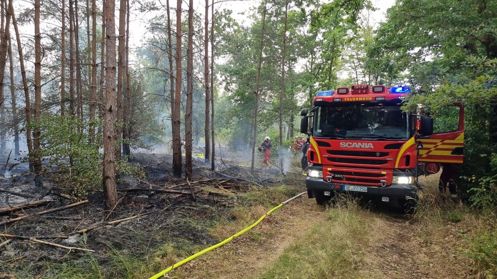 Die Feuerwehr war in einem Waldgebiet bei Sollnitz gefordert.