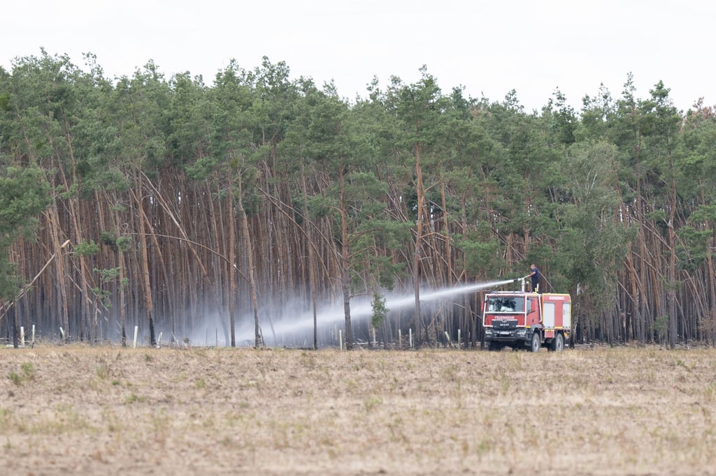 Ausreichend Regen hat die Löscharbeiten beim Waldbrand in der Gohrischheide auf die Zielgerade gebracht.