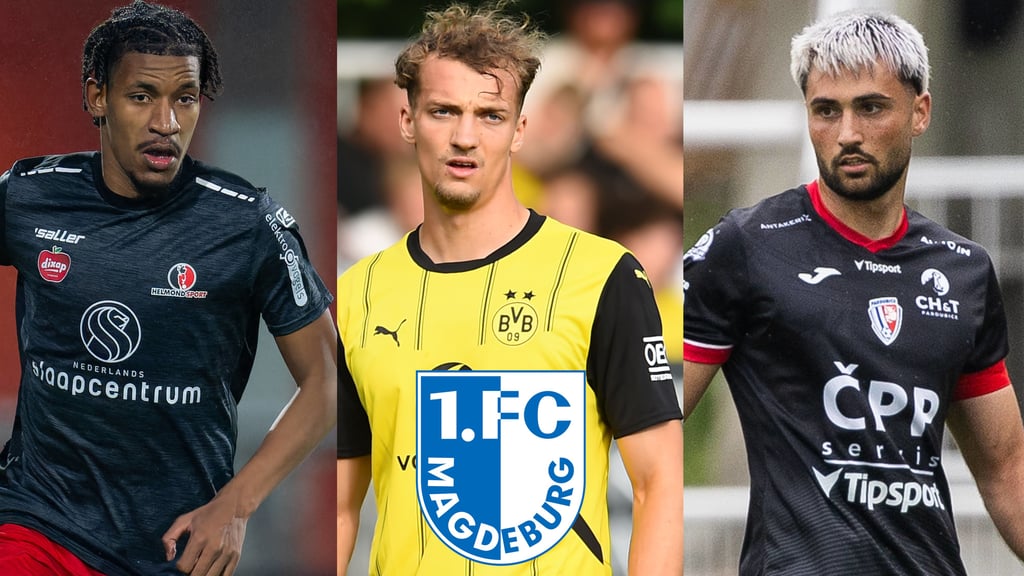 Redouane Halhal, Yannik Lührs und Louis Lurvink - allesamt Spieler, die in das Profil vom 1. FC Magdeburg passen.