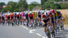 Die Radprofis bei der 112. Tour de France.