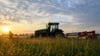 Für Umweltleistungen flossen Millionen an Landwirte in Sachsen-Anhalt (Archivbild)