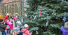  Das Schmücken des Weihnachtsbaumes auf dem Marktplatz soll in einem größeren Rahmen stattfinden. 