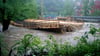 Die Zwickauer Mulde wurde zuletzt 2013 von einem starken Hochwasser heimgesucht und soll besser gesichert werden (Archivbild).