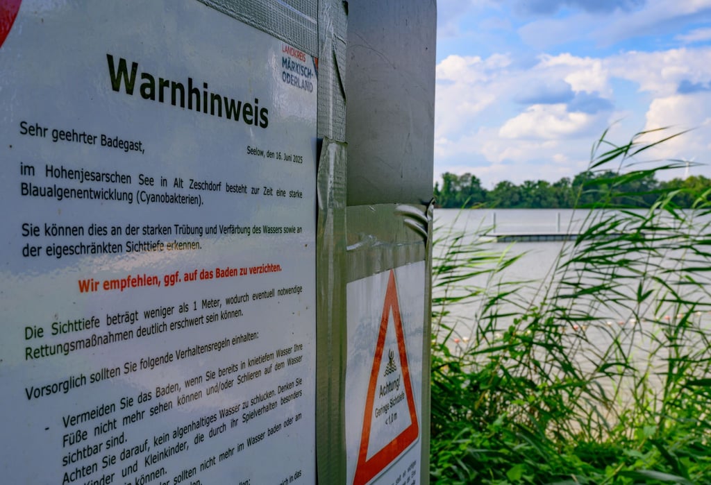Im Hohenjesarscher See trüben Blaualgen derzeit den Badespaß.