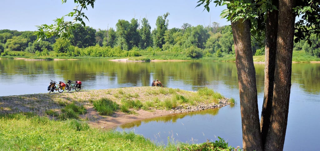 Die Elbe ist heute in erster Linie das Ziel von Erholungssuchenden. Der Elberadweg ist einer der beliebtesten touristischen Wege Deutschlands. Nicht nur Flussschützer wie Paul Dörfler sehen darin das Potenzial des Flusses. Auch Gastronomie- und Beherbergungsgewerbe profitieren seit Jahren davon.