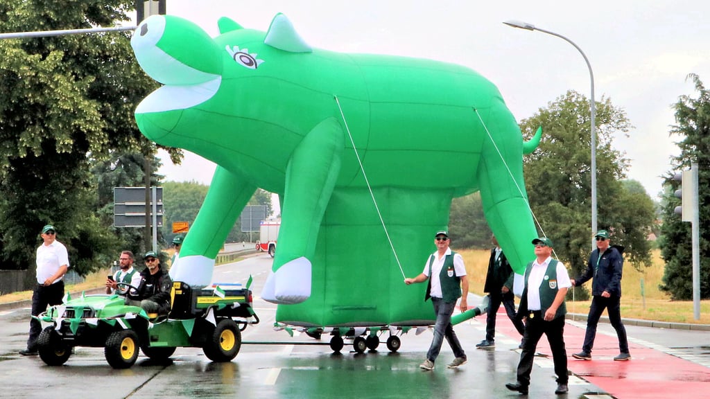 Ein überdimensionales Schwein rollt am Sonnabendnachmittag an der Spitze des Festzugs in Schweinitz und sorgt für großes Erstaunen.