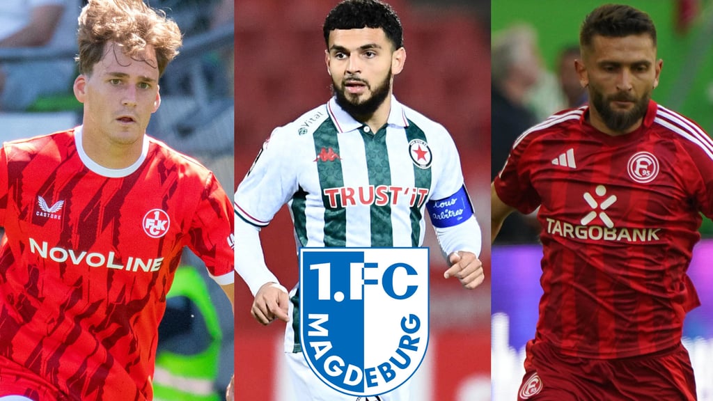 Florian Kleinhansl, Ryad Hachem und Nicolas Gavory unter der Lupe: Drei mögliche Kandidaten für den 1. FC Magdeburg?