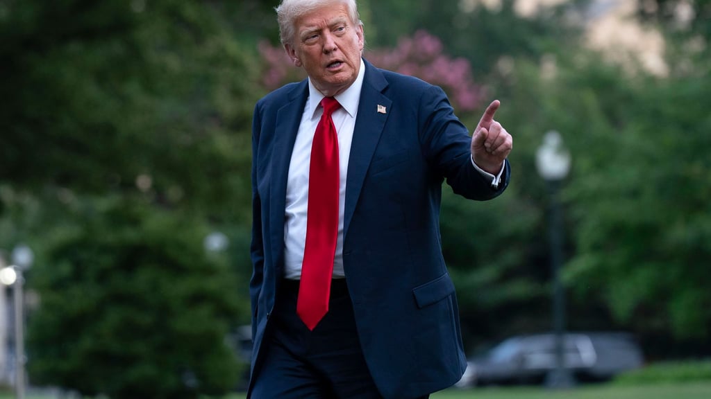 Donald Trump will Waffensysteme über die EU an die Ukraine liefern.