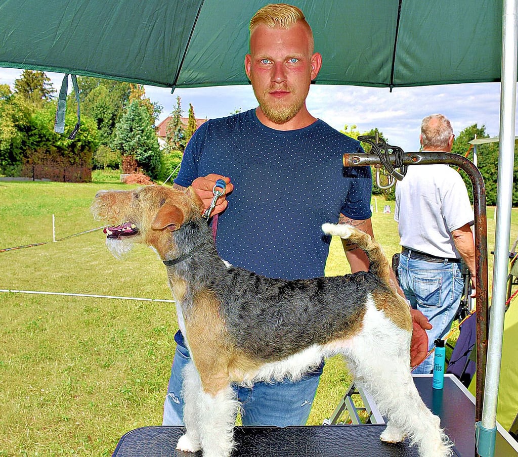 Wie im vergangenen Jahr nimmt Maximilian Knape aus Neu Königsaue auch dieses Mal mit seinem Rüden Xero vom Steinborn in Hecklingen teil.
