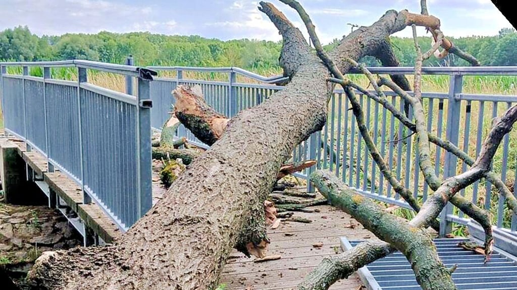Der Baum beschädigte und versperrte die Brücke.