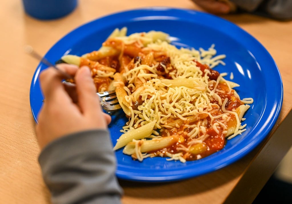 Die Brombeer-Koalition plant in Thüringen einen Einstieg in das kostenlose Mittagessen an Schulen. (Symbolbild)