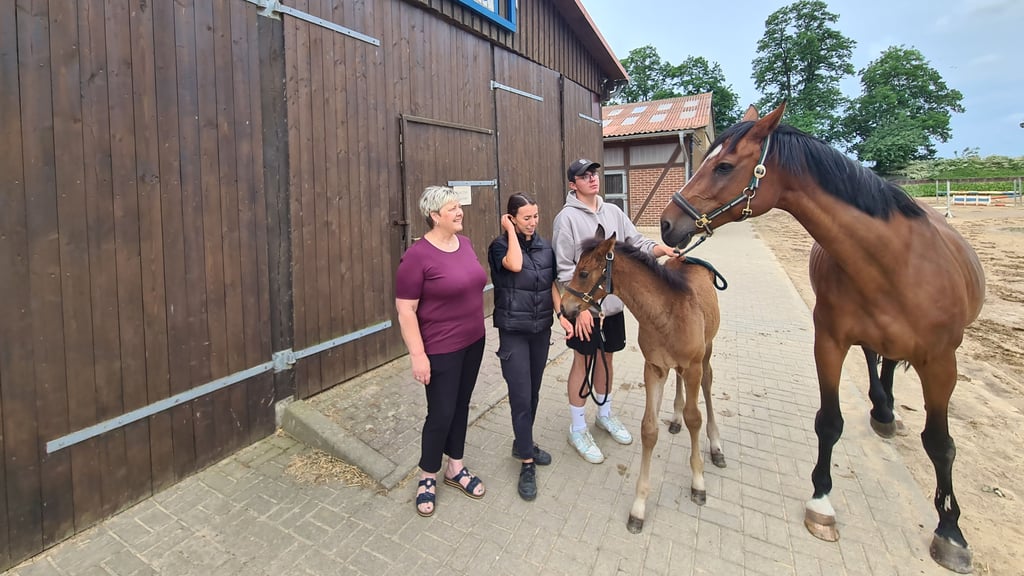 Steffi Albrecht (v. l.) Elisabeth Döhmann und Yves Mertens mit der Stute "Woman" und ihrem Fohlen.