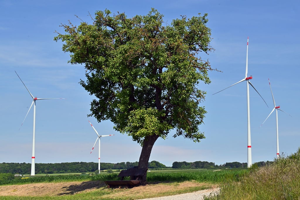 In keinem deutschen Flächenland wurden im ersten Halbjahr dieses Jahres weniger neue Windräder gebaut als in Thüringen. Laut Bundesverband Windenergie sind in Thüringen sechs neue Anlagen hinzugekommen. Lediglich im Saarland und den drei Stadtstaaten wurden gar keine Windräder gebaut. (Archivfoto)