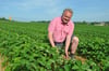 Landwirt Martin Beck - hier auf einem Archivfoto - betreibt mehrere Erdbeerfelder in der Region, darunter jenes an der B91 bei Bäumchen.