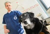 Hundemalaria - oder Babesiose - ist eine für die Tiere lebensbedrohliche Krankheit. Auch in der Region um Calbe und Schönebeck kam es schon zu mehreren Fällen dieses Jahr. 
