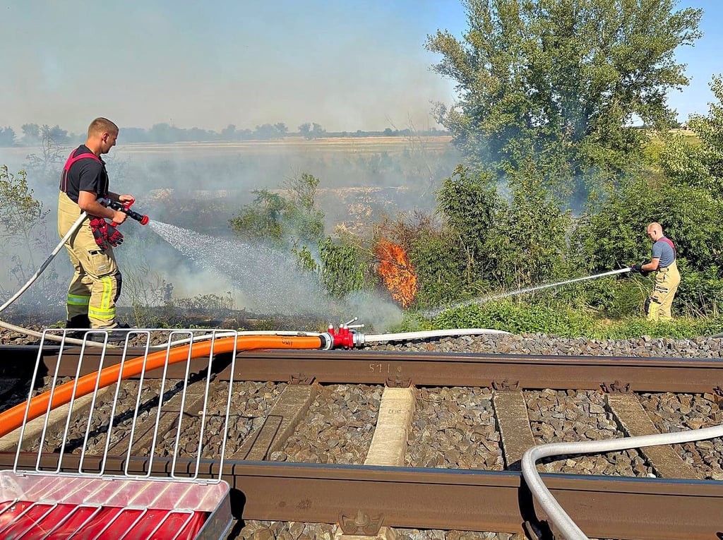 Stressiger Sommer: Wie hier beim Einsatz während der größten Hitze die Feuerwehr Nienburg an der Bahnstrecke bei Calbe hatten die Einsatzkräfte der Wehren in den vergangenen Wochen schon eine Menge zu tun.