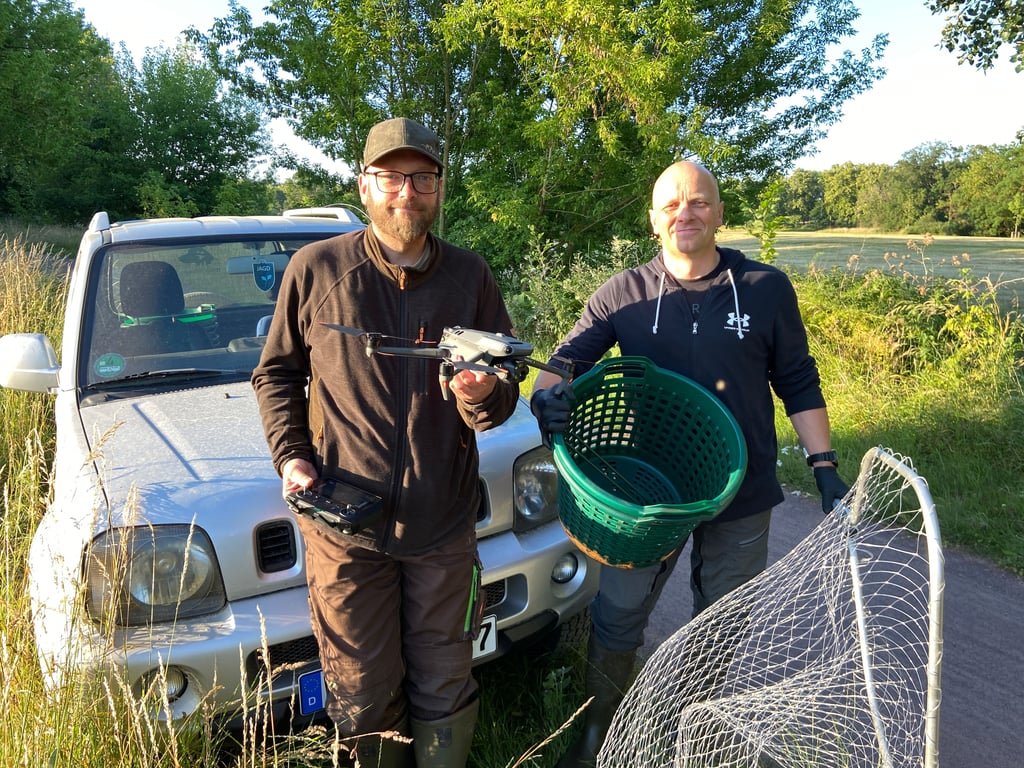 Christian Möller (links) und Jan Driesnack von der Wildtierrettung Magdeburg unterstützen ehrenamtlich Landwirte bei der Kitzrettung. Bei einem Einsatz im Stadtpark Rotehorn zeigen sie, wie sie mithilfe von Drohnen junge Rehe vor dem Mähtod bewahren.