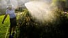 Besser Grauwasser nutzen: Wer seine Pflanzen im Garten gießt, verbraucht sonst im Sommer viel Trinkwasser.