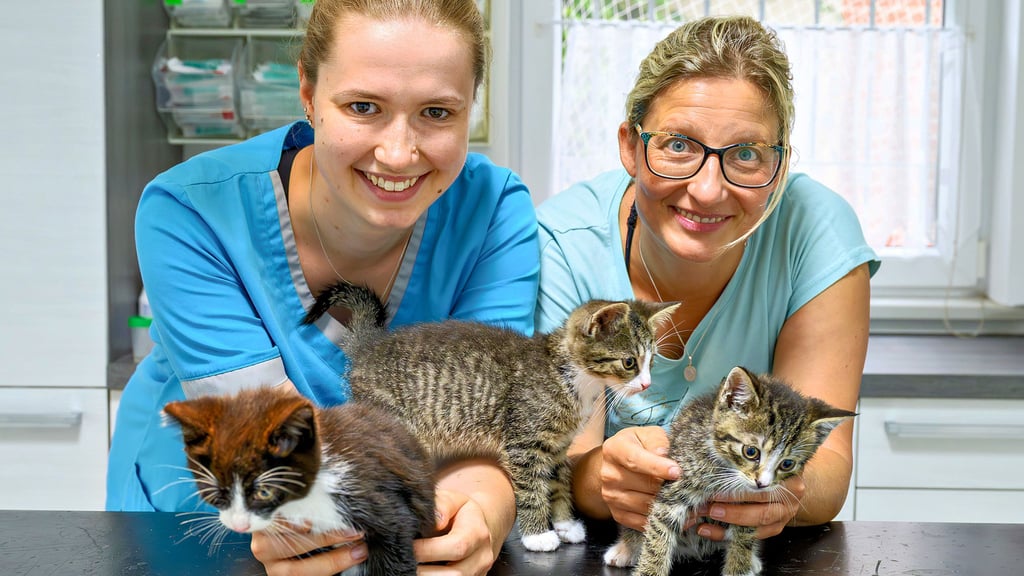 Die Naumburger Tierärztin Heike Kunnaht (r.) und ihre Mitarbeiterin Josephin Menzel mit drei der Kätzchen, die glücklicherweise alle wohlauf sind.
