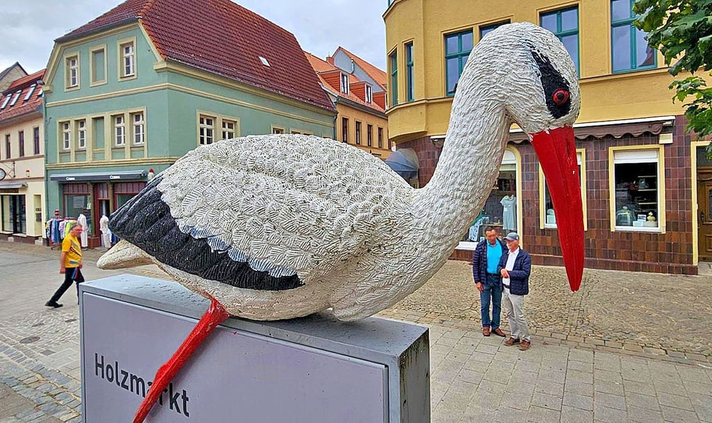 Der Storch in der vergangenen Woche auf dem Holzmarkt.