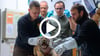 Im Zoo Magdeburg ist der Tigernachwuchs von Tigerdame Stormi erstmals geimpft worden.  Die kleinen Raubtiere protestierten vehement gegen das Prozedere.