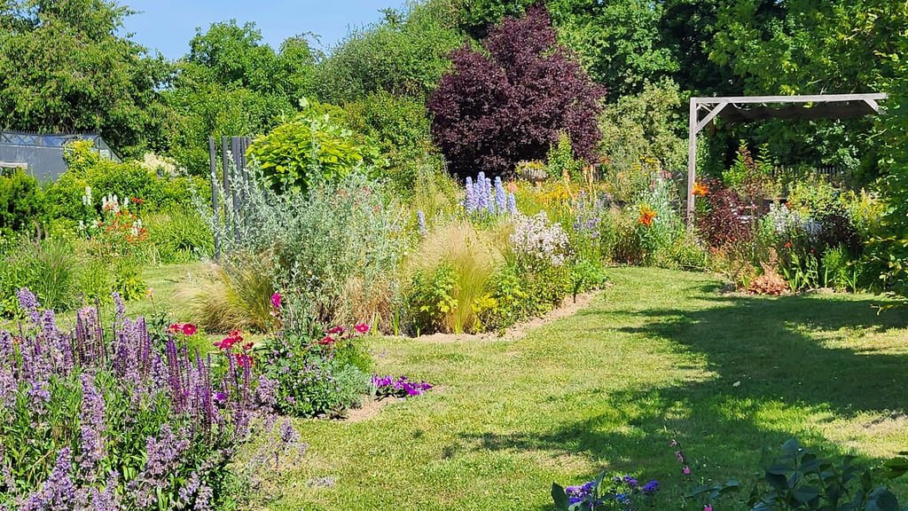 „Ein Garten für alle“ in Ostingersleben lockt amSonntag, 20. Juli 2025, Besucher mit verschiedenen insektenfreundlichen Blühern, Stauden und naturnahen Elementen.