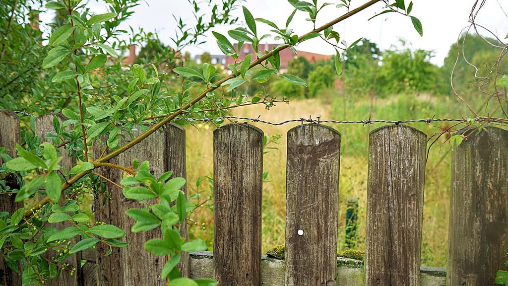 Gärten an der Ohre hinter der Burgstraße liegen brach.