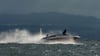 Schnelle Motorboote bringen zwar Spaß, können aber Pflanzen und Tieren in Seen enorm zusetzten. (Archivbild)