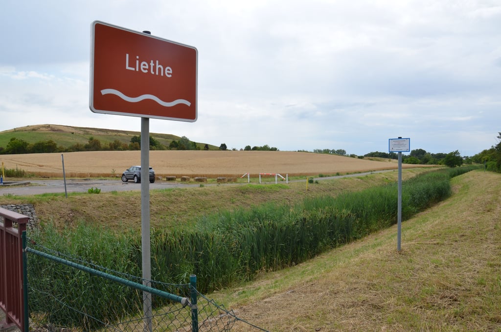 Gemäht wurden zum Schutz der Natur nur die Deiche, der Bewuchs im Flussbett der Liethe blieb erhalten, wie hier zu sehen im Bereich zwischen „Puppendorf" und ehemaliger Deponie am Stadtrand von Staßfurt.