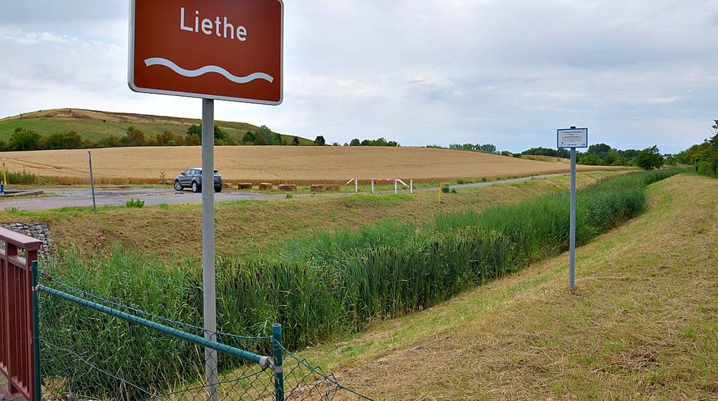 Gemäht wurden zum Schutz der Natur nur die Deiche, der Bewuchs im Flussbett der Liethe blieb erhalten, wie hier zu sehen im Bereich zwischen „Puppendorf" und ehemaliger Deponie am Stadtrand von Staßfurt.