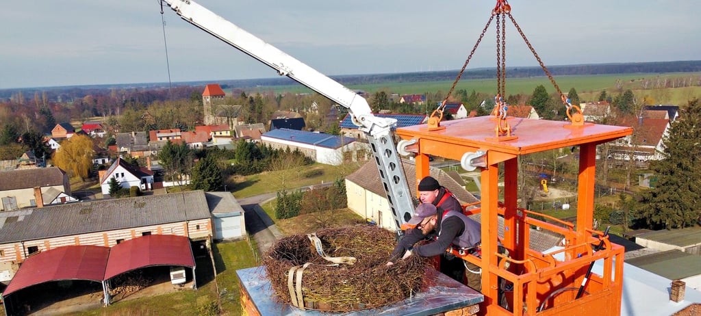 Per Kran wurde das neue Storchennest im Februar auf den Schornstein in Hohenziatz gesetzt.
