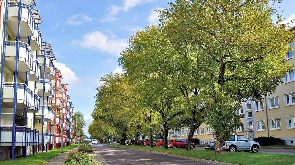 In der Genthiner Gröblerstraße haben sich Anwohner für den Erhalt der Bäume eingesetzt. Grund war vor allem der Schutz vor Hitze im Sommer.