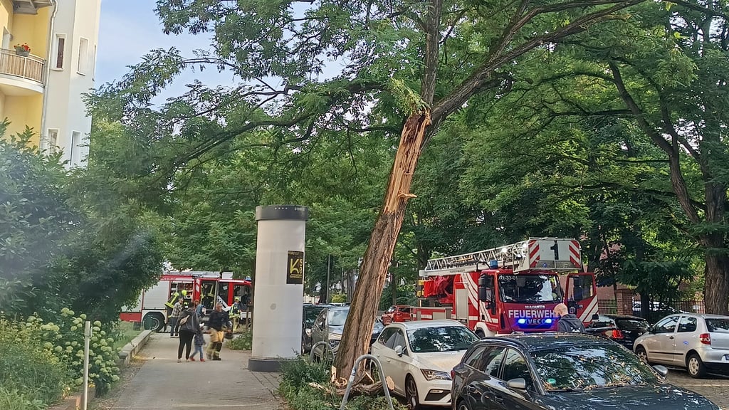 Die Feuerwehr war in der Gerhart-Hauptmann-Straße in Magdeburg im Einsatz.